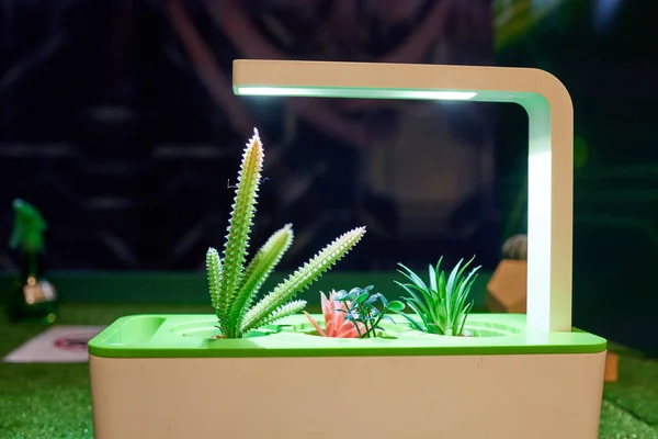Growing plants in a smart hidden form with artificial led lighting. spectrum fitolampy for seedlings and growing plants. — Stock Photo, Image