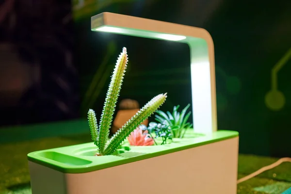 Growing plants in a smart hidden form with artificial led lighting. spectrum fitolampy for seedlings and growing plants. — Stock Photo, Image