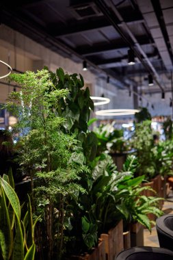 Bitkilerle dolu konteynırlardan yapılmış bir yazlık kafenin dekoratif çiti..