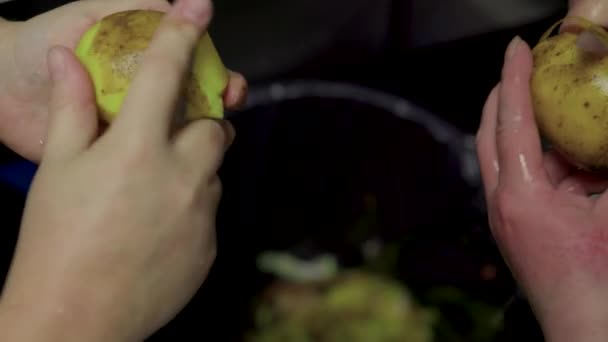 Закрытие рук людей, очищающих золотую картошку и удаляющих кожу овощей с помощью картофелечистки. — стоковое видео