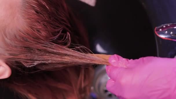 Fodrász szépségszalonban mossa ügyfele haját, mielőtt eljárás alkalmazása természetes helyreállítása összetevők és vitaminok a haj és a fodrász. — Stock videók