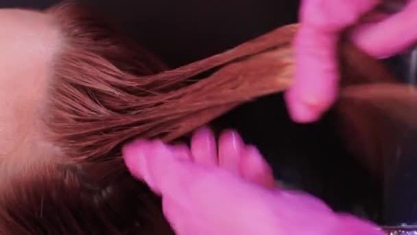 Kapster in schoonheidssalon wast zijn klant haar, voor de procedure van het aanbrengen van natuurlijke restauratie ingrediënten en vitaminen op haar en kapsel. — Stockvideo