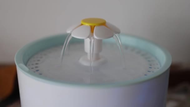 Distributeur d'eau pour animaux avec remplissage automatique par gravité. — Video