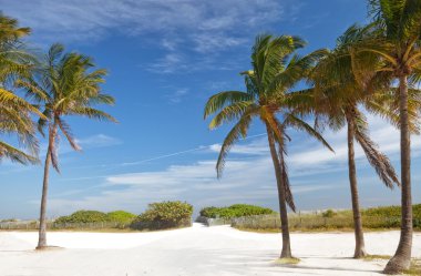 miami beach, florida güneşli yaz gün
