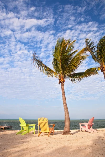 Sommerszene an einem tropischen Strand in Florida mit bunten Liegestühlen und Palmen — Stockfoto