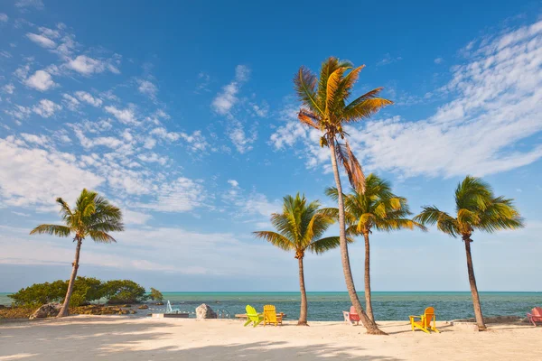 Letní scéna na tropické pláži na Floridě s barevnými lehátky a palmami — Stock fotografie