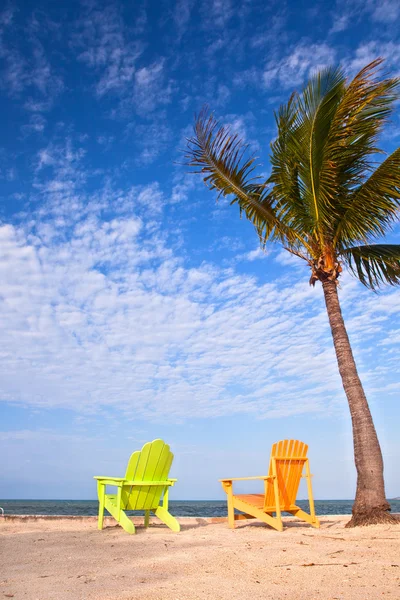 Escena de verano Sillas coloridas y palmeras en una playa tropical en Florida —  Fotos de Stock