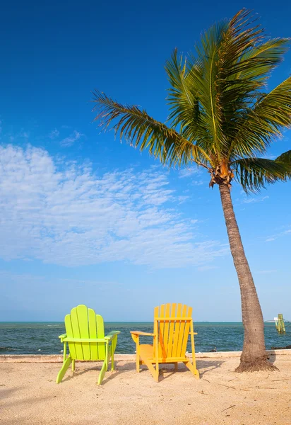 Yaz sahne renkli sandalyeler ve Florida'da tropikal bir plajda palmiye ağaçları — Stok fotoğraf