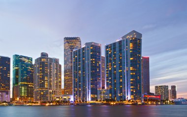 Şehir miami florida, renkli gece şehir panoraması