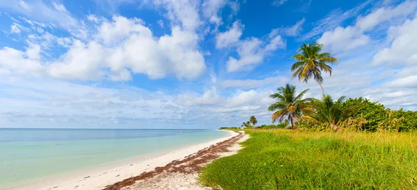 Verano en un paraíso tropical en Florida Keys USA — Foto de Stock