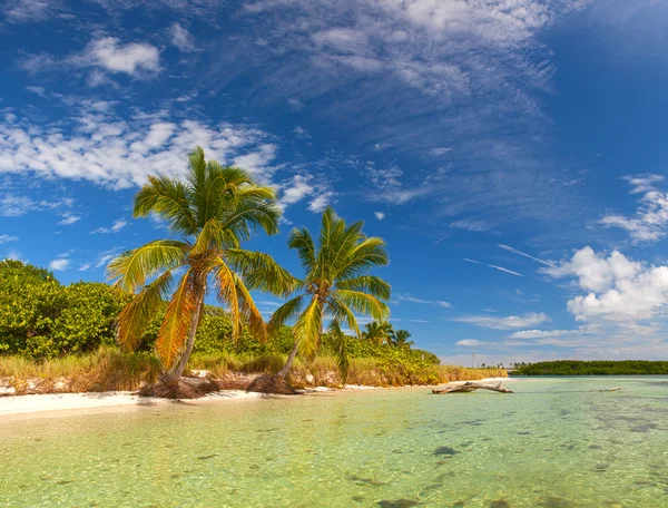 Verano en un paraíso tropical en Florida Keys USA — Foto de Stock