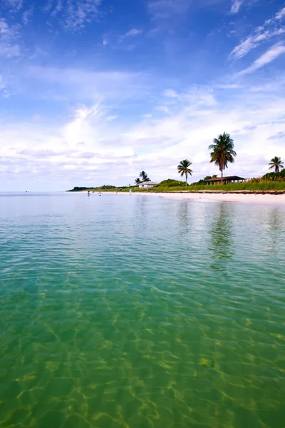 Léto na tropický ráj v florida keys usa — Stock fotografie