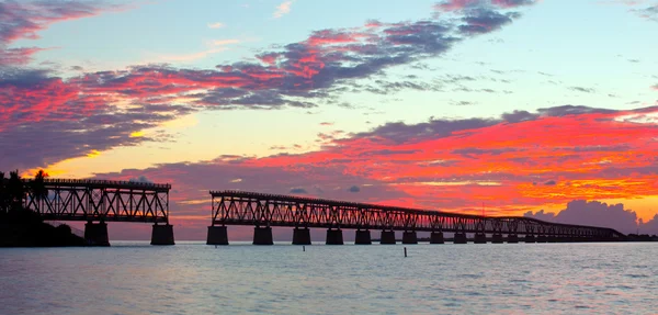 Paisagem colorida de um belo pôr do sol tropical ou nascer do sol na Flórida EUA — Fotografia de Stock