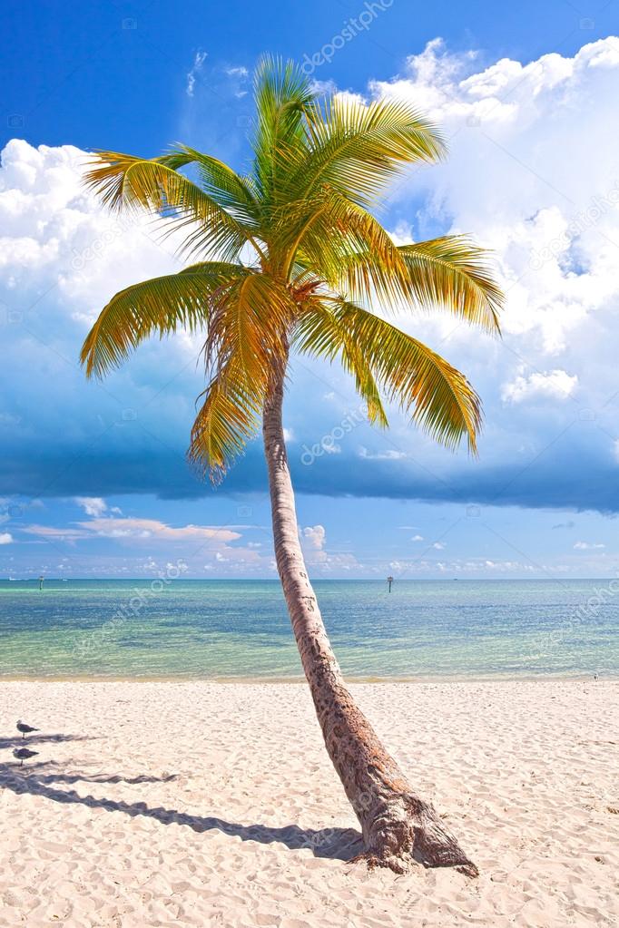 Summer at a tropical paradise in Florida Keys USA