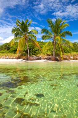 florida keys ABD tropik bir cennette, yaz