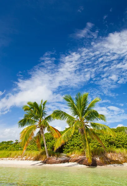 Verano en un paraíso tropical en Florida Keys USA — Foto de Stock