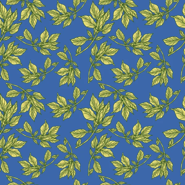 Modèle floral vectoriel — Image vectorielle