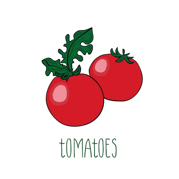 Vector tomaten — Stockvector