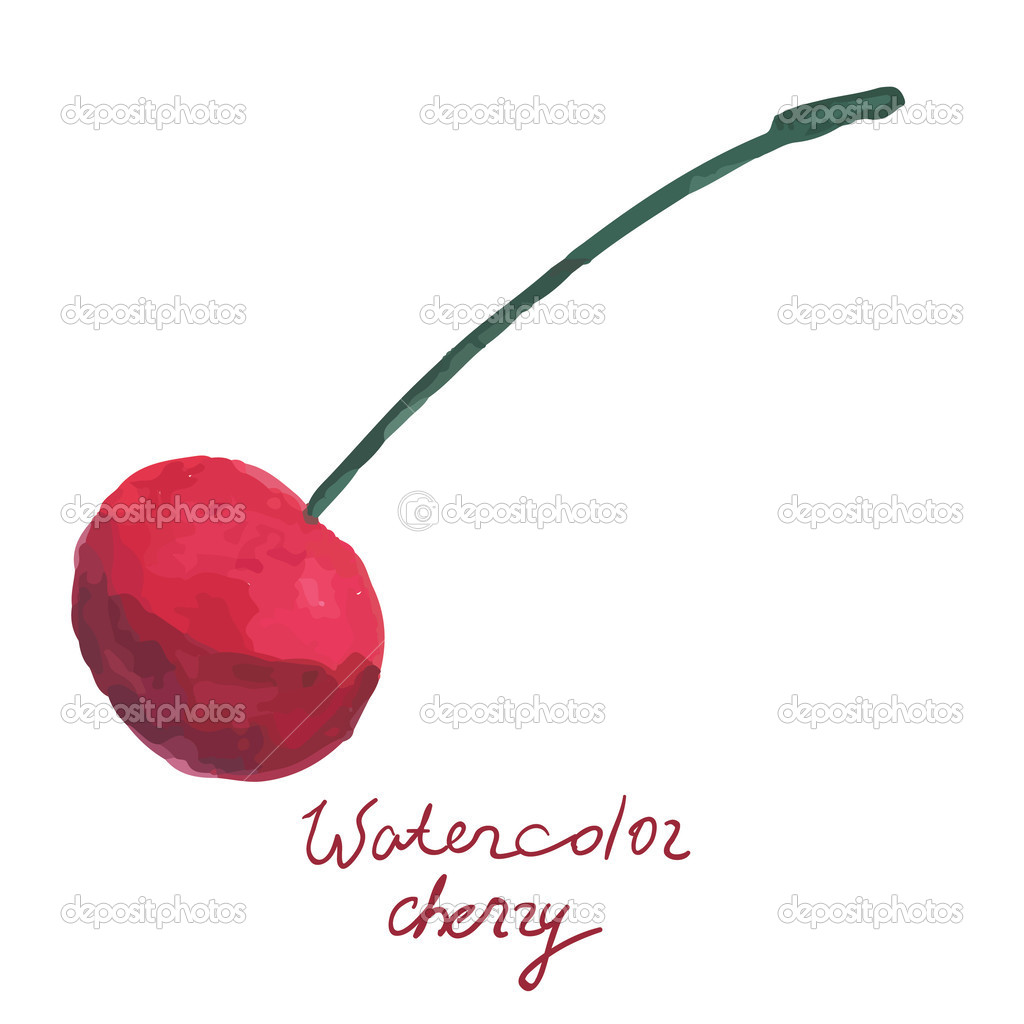 Watercolor cherry in vector
