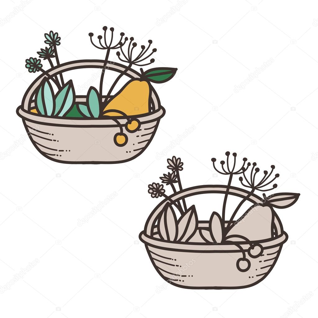 Vector basket with fruits and plant