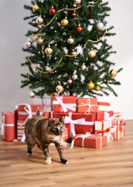 Oturma odasında kırmızı hediyelerle Noel ağacı. Mutlu Yıllar ve Noel konsepti için dekorasyon.