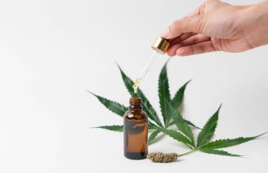 Tıbbi marihuana ve marihuana yağı. Kişisel kullanım için esrar tarifi, yasal hafif uyuşturucu reçetesi, alternatif çare veya ilaç, tıp konsepti