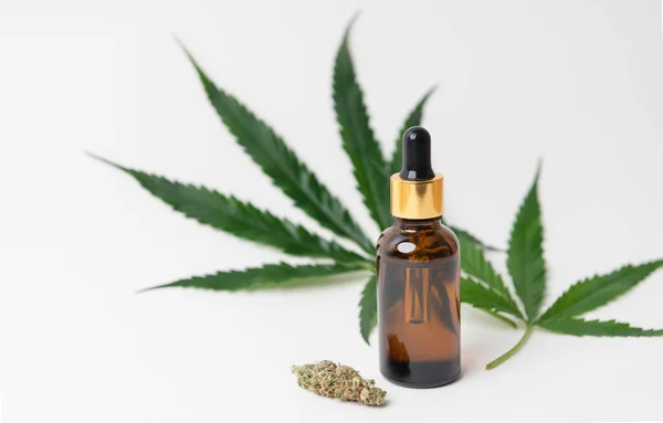 Marijuana Medicinal Óleo Maconha Receita Cannabis Para Uso Pessoal Medicamentos — Fotografia de Stock