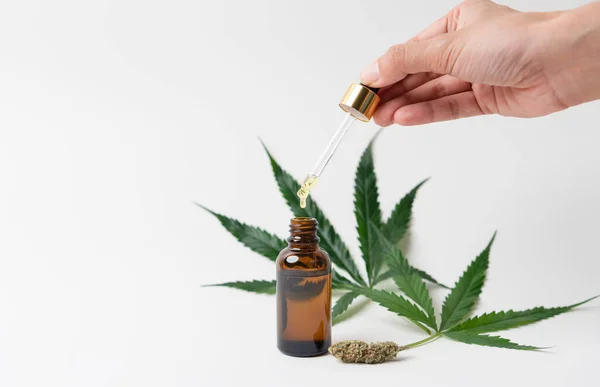 Marijuana Medicinal Óleo Maconha Receita Cannabis Para Uso Pessoal Medicamentos — Fotografia de Stock