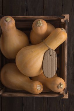 Balkabaklarını tahta bir masanın üstünde, kutunun içinde topla.