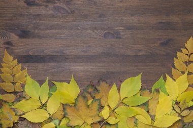 Şükran Günü konsepti, balkabakları ve sonbahar yaprakları, arka plan, üst manzara.