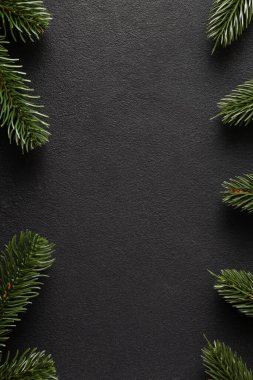 Fotokopi alanı olan siyah arkaplan üzerindeki köknar dallarından oluşan çerçeve