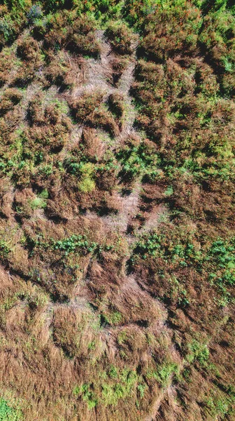 Аерофотозйомка Абстракція Ерозією Землі Вирощеної Бур Янами Маками — стокове фото