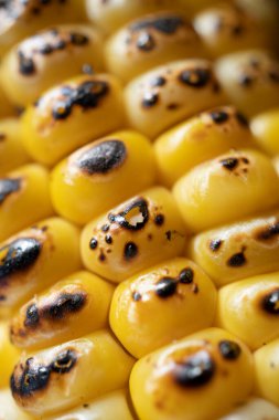 Beton arka planda ızgara mısır, geleneksel Amerikan bayramı yemekleri.