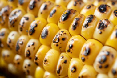 Beton arka planda ızgara mısır, geleneksel Amerikan bayramı yemekleri.