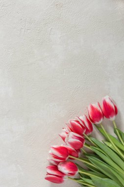 Anneler Günü için bir buket lale. Fotokopi alanı olan açık beton bir zemin üzerinde.
