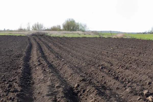 Wiosenne Grunty Orne Farmie Czarną Glebą Żyzna Gleba Kompleksu Rolniczego — Zdjęcie stockowe