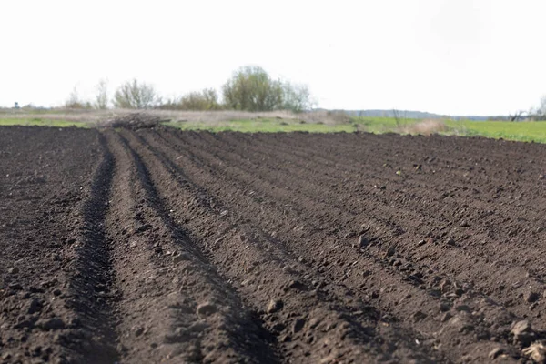 Lente Bouwland Een Boerderij Met Zwarte Grond Vruchtbare Grond Van — Stockfoto