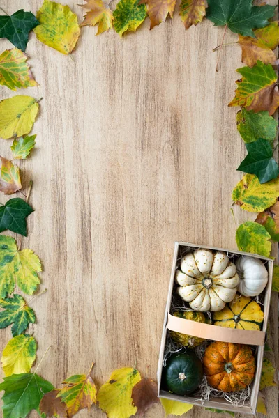 Thanksgiving Pumpkins Basket Leaves Light Wood Table — Stock Photo, Image