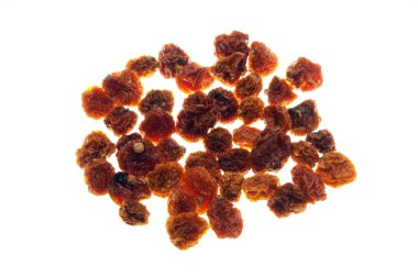 Physalis peruviana