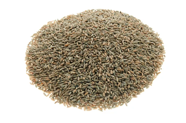 Organic rye — Stock Photo, Image