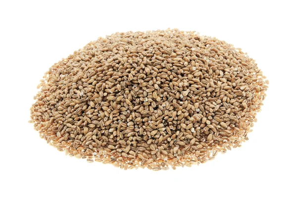 Organic barley — Stock Photo, Image