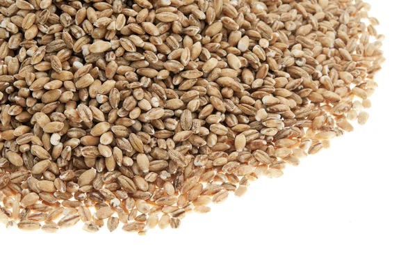 Organic barley — Stock Photo, Image