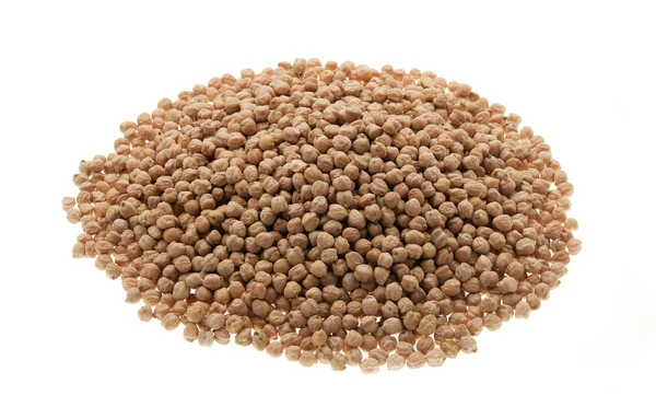 Chickpea — Stock Photo, Image