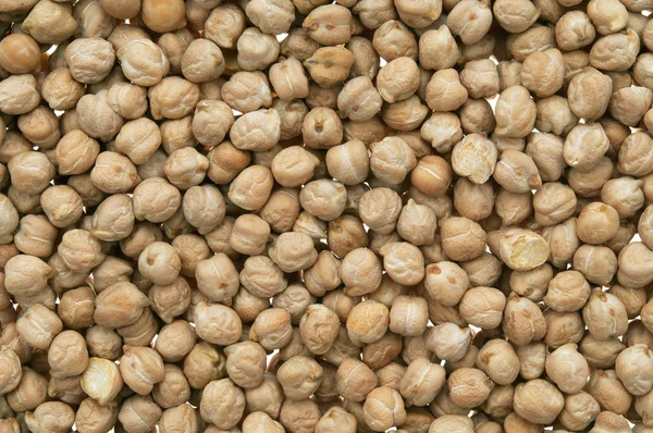 Chickpea — Stock Photo, Image