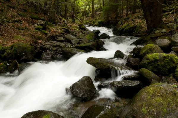 Fiume Mountian — Foto Stock