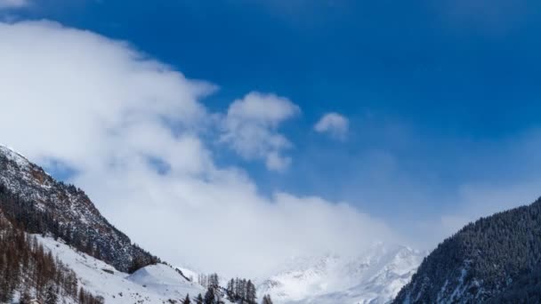 Suiza montañas — Vídeos de Stock