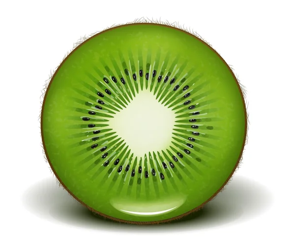 Kiwi frais — Image vectorielle