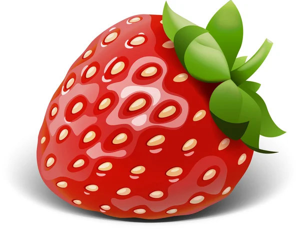 Vecteur de fraises — Image vectorielle