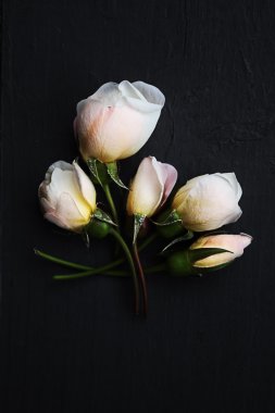 karanlık bir yüzey üzerinde beyaz güller