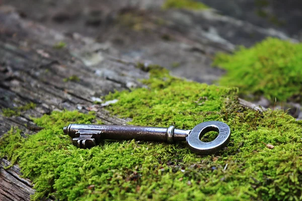 Old key — Stock Photo, Image